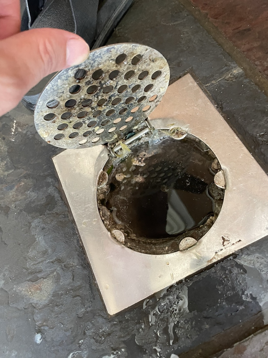 Toilet Bowl and Floor Trap Choke in Singapore: What to Try and What It Costs