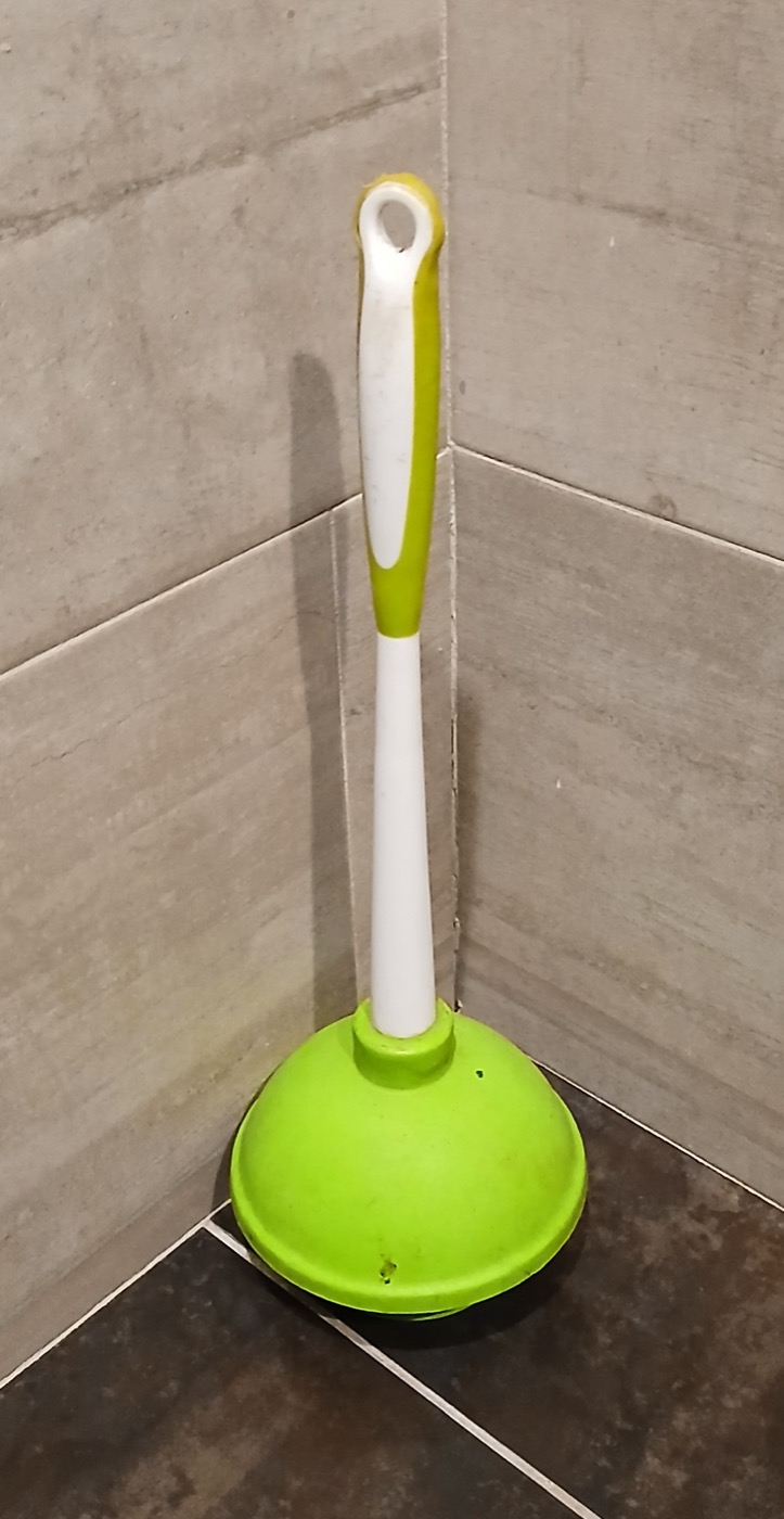 Toilet bowl in an HDB bathroom.