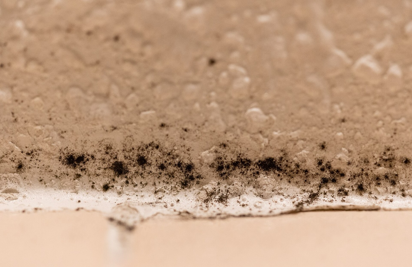 Black mould growing on grout lines in a shower area.