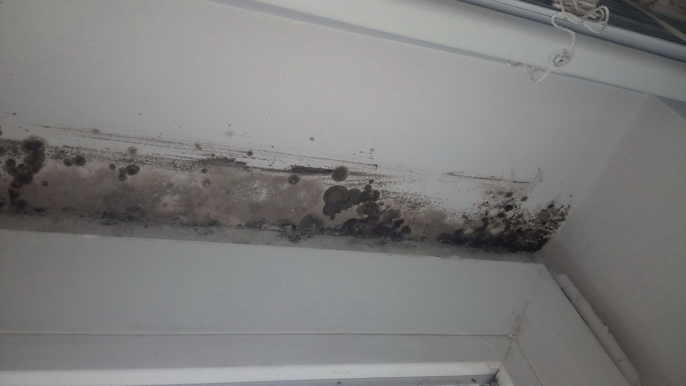 Dark mould growing along a window recess where condensation collects.