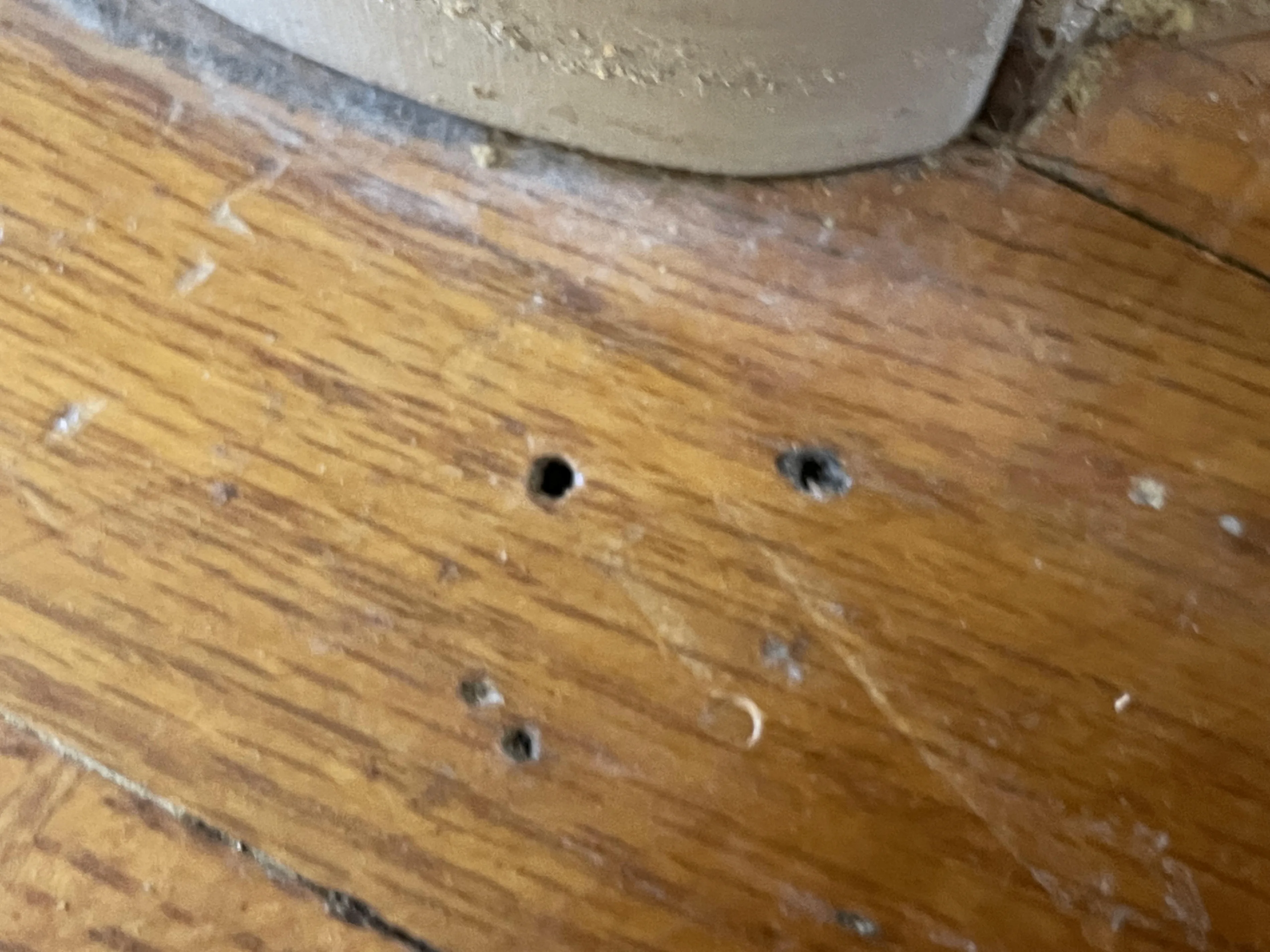 Wall before hole repair