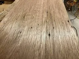Drill & Nail Holes wall hole repair