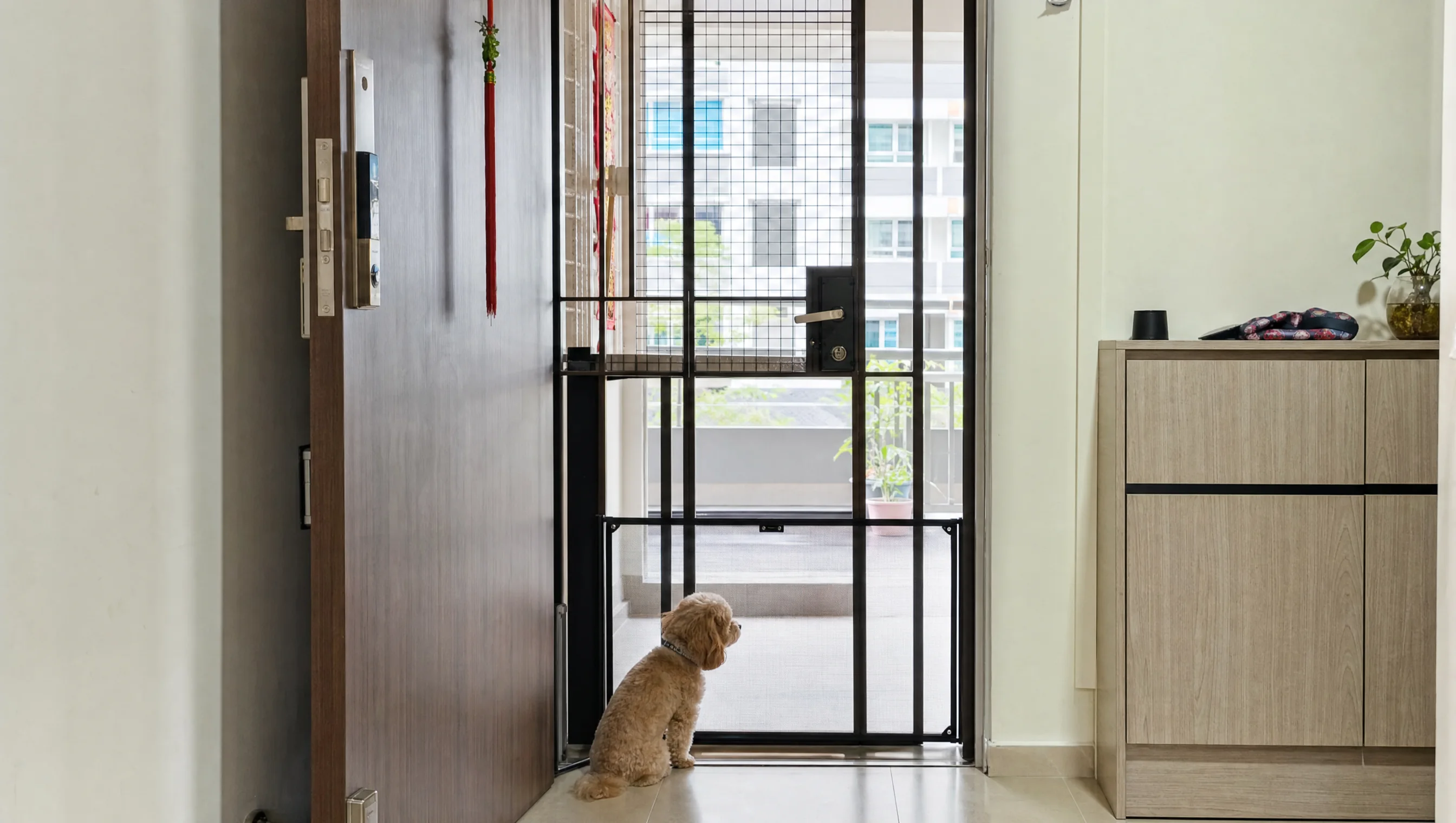 Escape points reviewed by pet behaviour